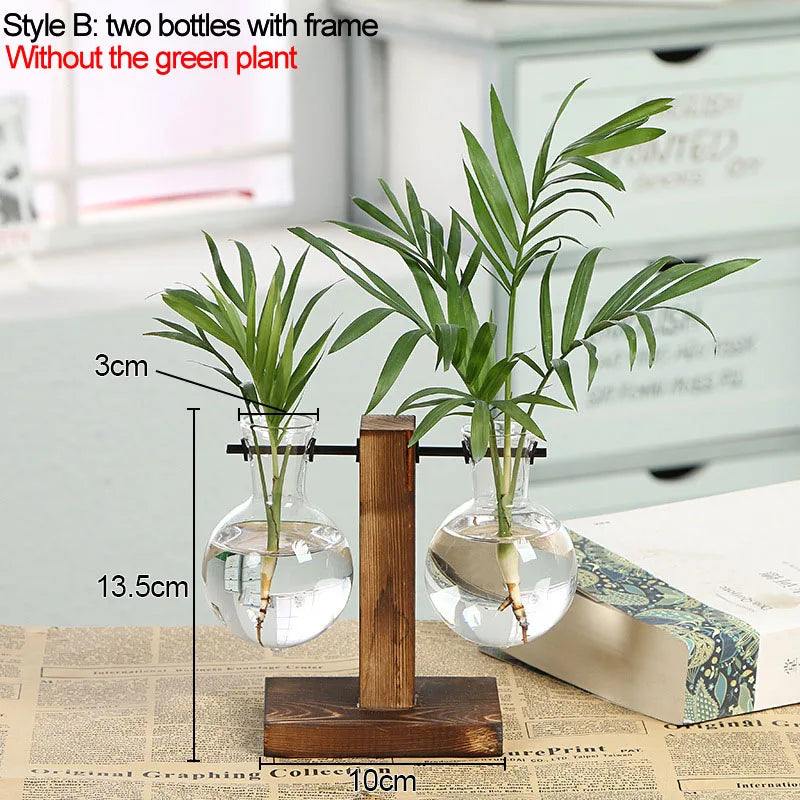 Hydroponic Plant Vases