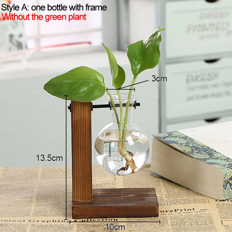 Hydroponic Plant Vases