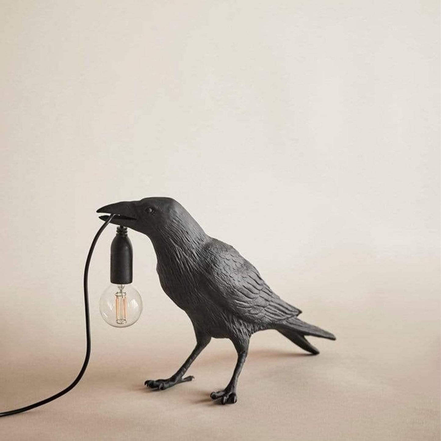 The Raven Light