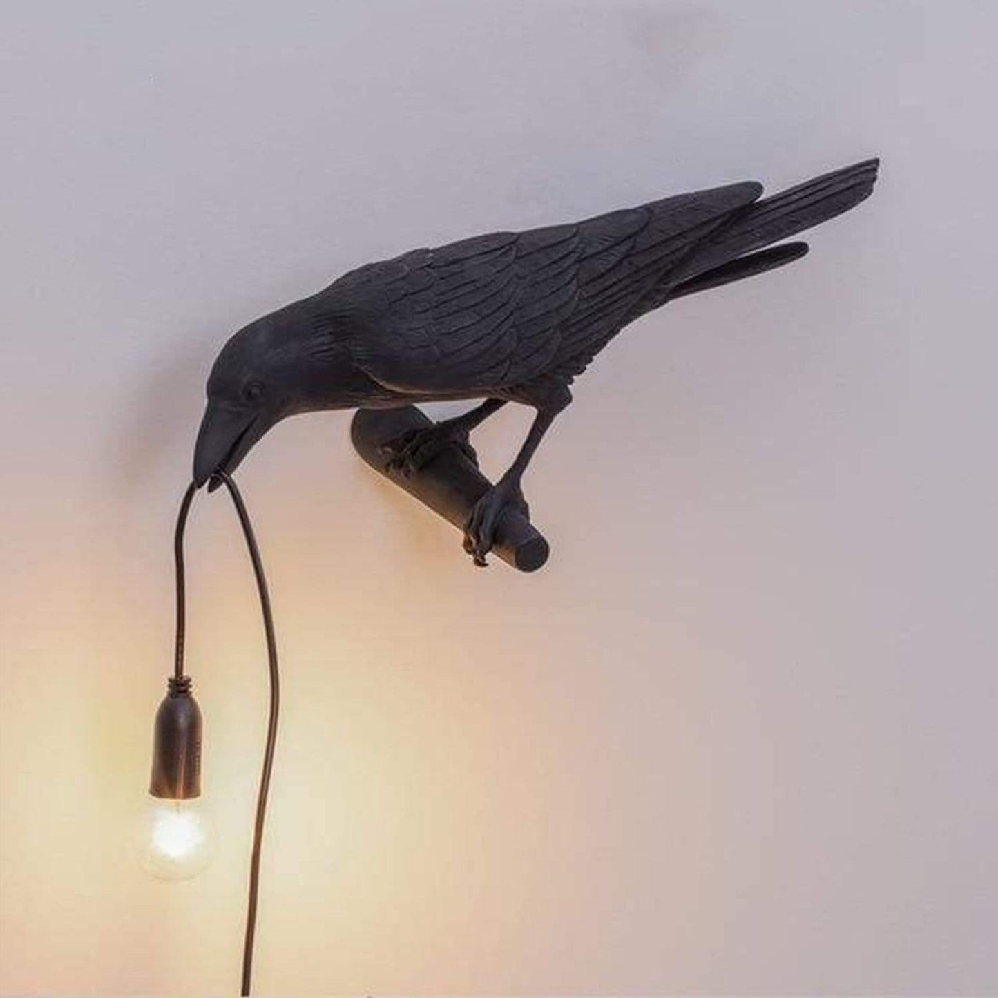 The Raven Light