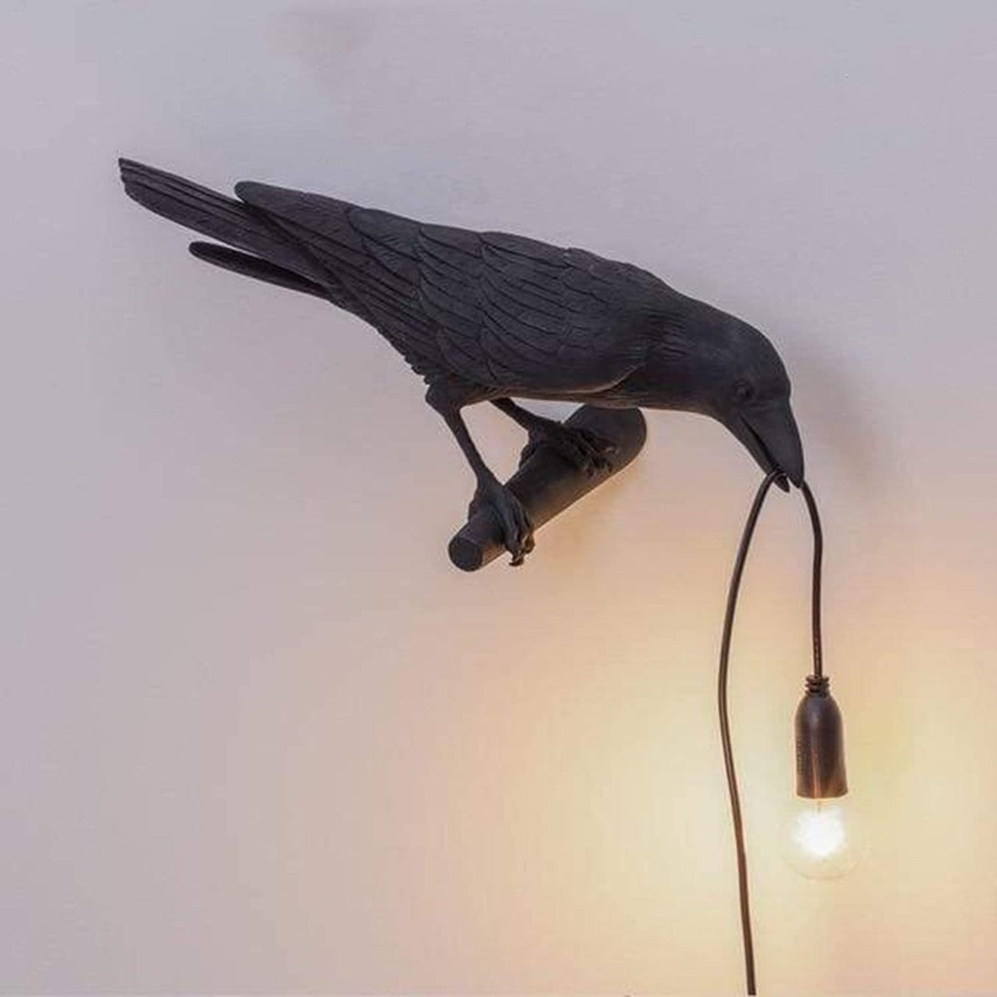 The Raven Light