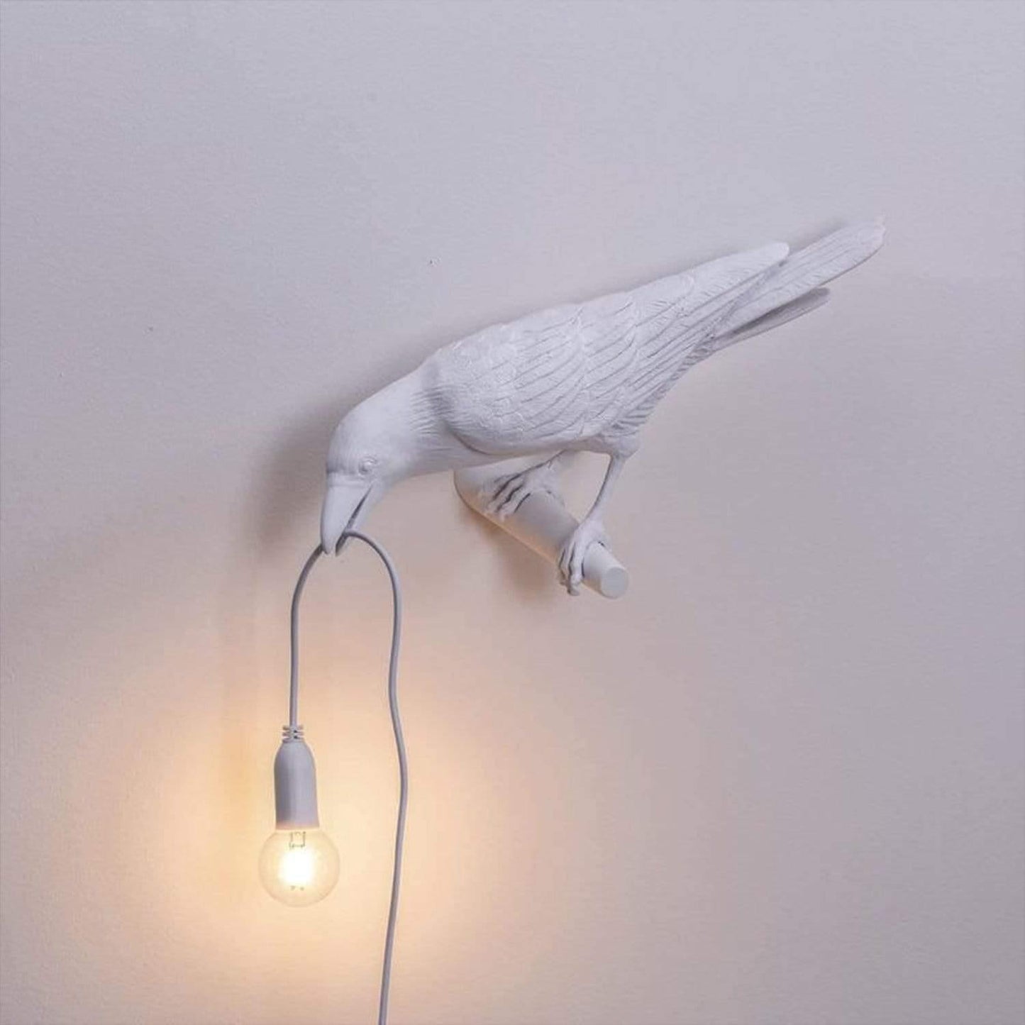 The Raven Light