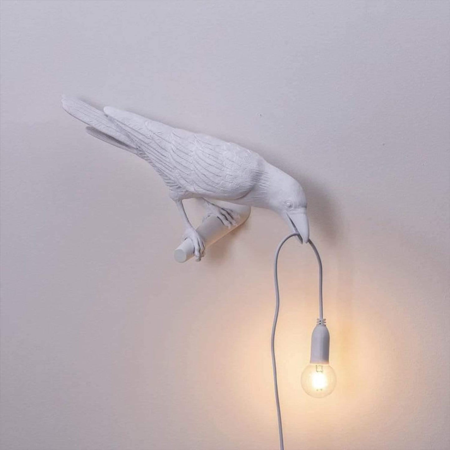 The Raven Light